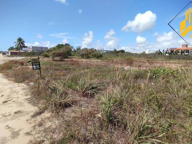 #49 - Terreno para Venda em Conde - PB - 3