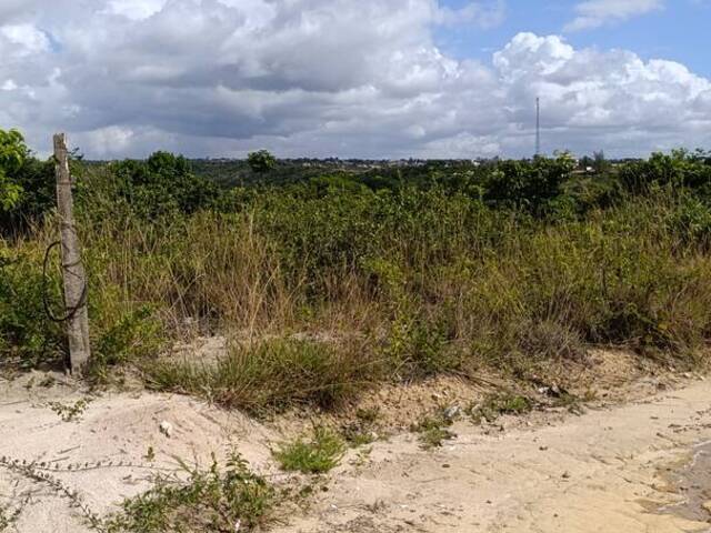 Área para Venda em Conde - 4