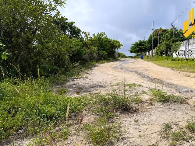 Área para Venda em Conde - 5
