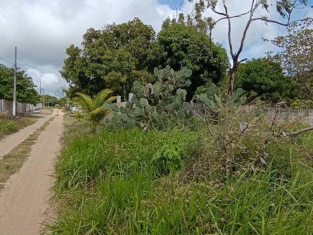 #80 - Área para Venda em Conde - PB - 3