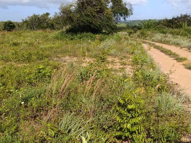 #13 - Terreno para Venda em Conde - PB - 2