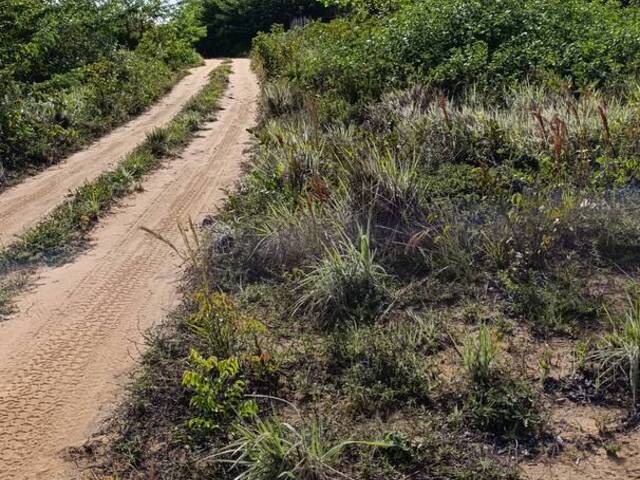 #13 - Terreno para Venda em Conde - PB - 3