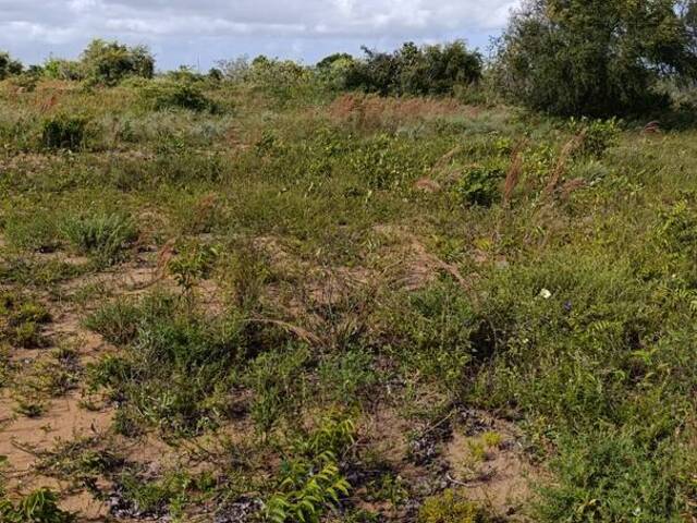 Terreno para Venda em Conde - 4