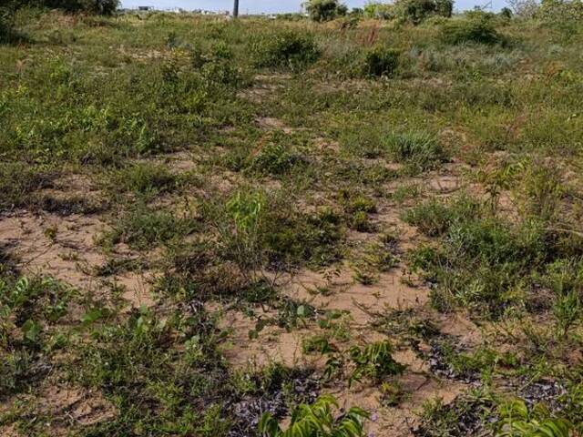 Terreno para Venda em Conde - 5